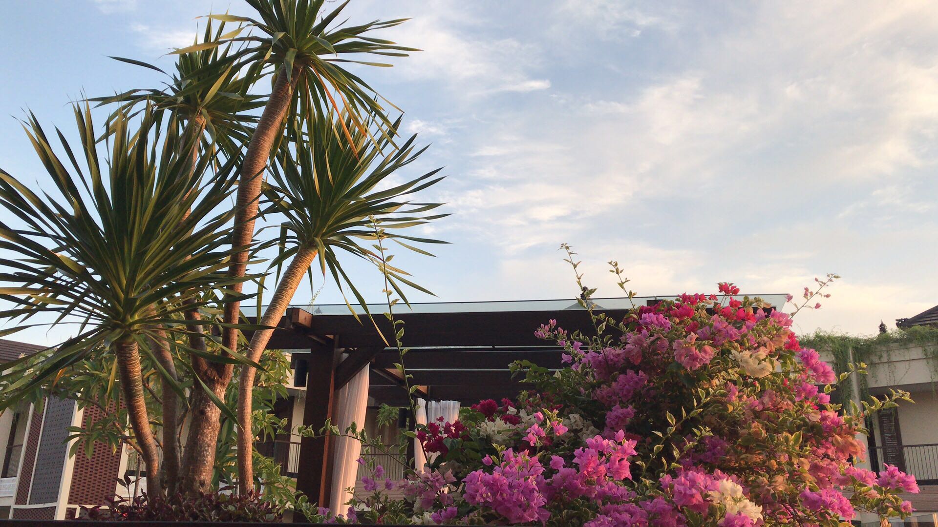 1924750497 1924750497